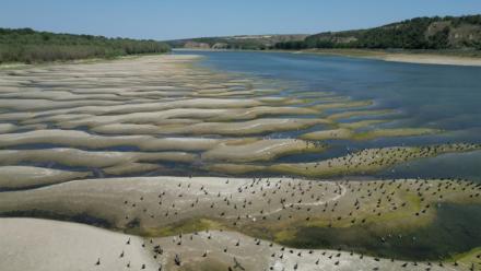 Photo des rives asséchées du Danube à Rasova en Roumanie, le 13 août 2026