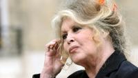L'actrice française Brigitte Bardot quitte le palais de l'Elysée après une rencontre avec le président de la République Nicolas Sarkozy, le 27 septembre 2007 à Paris