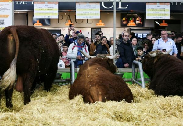 Au Salon de l'Agriculture, Porte de Versailles à Paris, le 22 février 2025