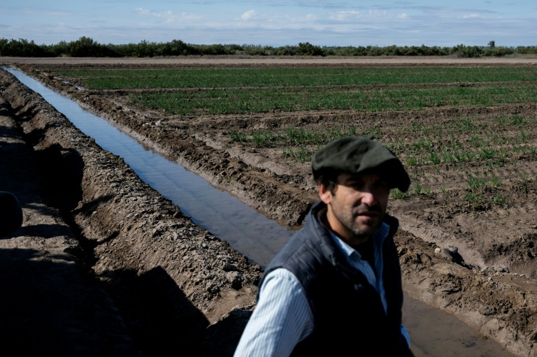 Nicolas Yanzon pose à côté d'un canal d'irrigation et de ses champs d'oignons à Villa Media Agua, en périphérie de San Juan, en Argentine, le 25 avril 2026 