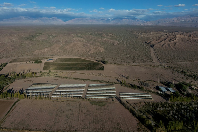 Vue aérienne d'un vignoble entouré par des terres arides à Calingasta, dans la province de San Juan, en Argentine, le 20 avril 2026