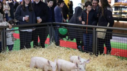 Le Salon de l'Agriculture à Paris le 21 février 2026