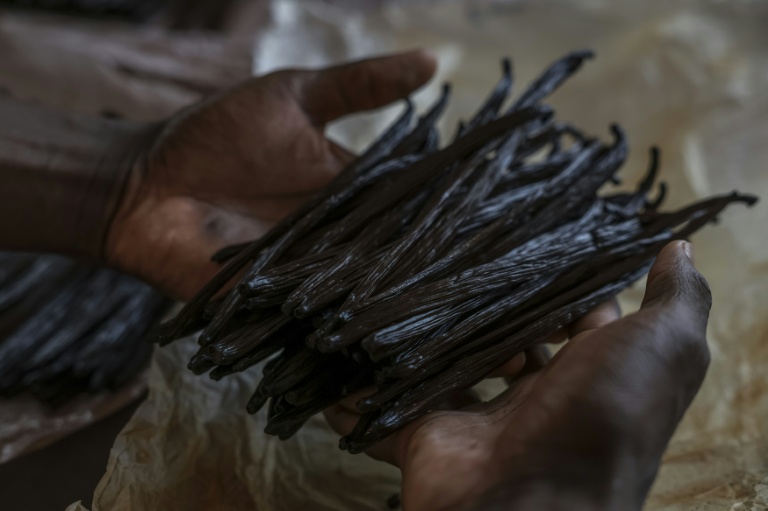 Des gousses de vanille à L'Atelier Vanilla à São Tomé, capitale de São Tomé-et-Principe, le 7 août 2026