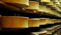 Le gouvernement a autorisé un assouplissement temporaire des règles de production des fromages abondance, beaufort et comté, en raison de la sécheresse