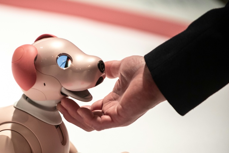 Une personne interagit avec un robot Aibo, à Tokyo le 22 mars 2022