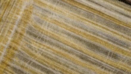 La Commission européenne va aménager sa taxe carbone aux frontières sur les engrais importés, afin d'éviter une hausse des prix dans une période de crise agricole