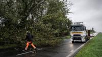 Un homme dégage des branches d'un arbre tombé sur la chaussée de la route départementale D924, près d'Équilly (Manche), en Normandie, le 23 octobre 2026, alors que la tempête Austen balayait le nord-ouest de la France 