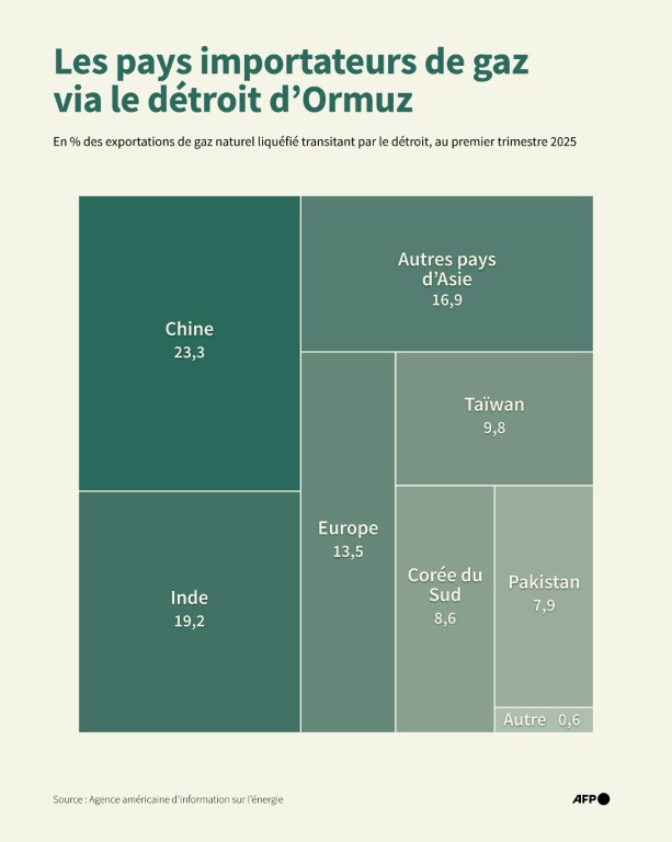 Destination du gaz naturel qui a transité via le détroit d'Ormuz au premier trimestre 2025, en pourcentage par pays et en volume