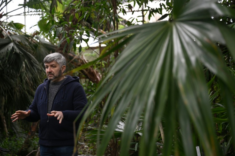 Roman Ivannikov, chef du département des plantes tropicales et subtropicales du jardin botanique national Gryshko de l'Académie nationale des sciences d'Ukraine, regarde d'orchidée dans la serre du jardin, le 11 février 2026 à Kiev