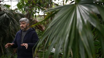 Roman Ivannikov, chef du département des plantes tropicales et subtropicales du jardin botanique national Gryshko de l'Académie nationale des sciences d'Ukraine, regarde d'orchidée dans la serre du jardin, le 11 février 2026 à Kiev