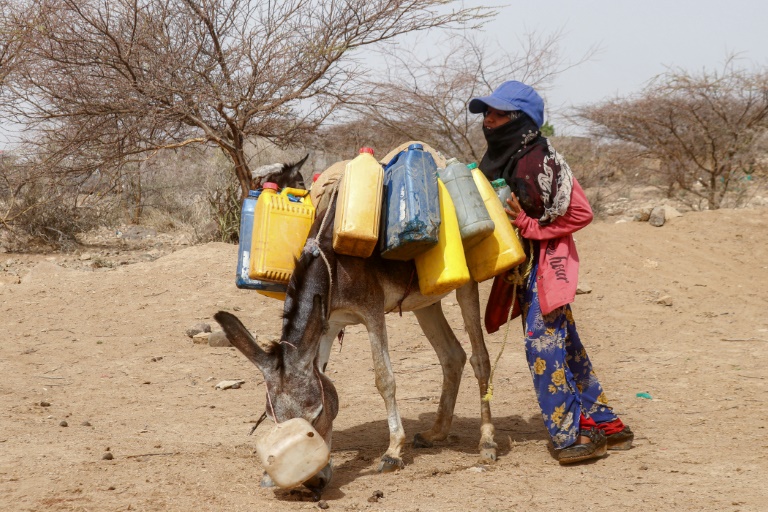 Une enfant transporte à dos d'âne des jerrycans remplis d'eau d'un puits dans un camp pour personnes déplacées, au sud de Hodeida, le 19 juillet 2025 au Yémen