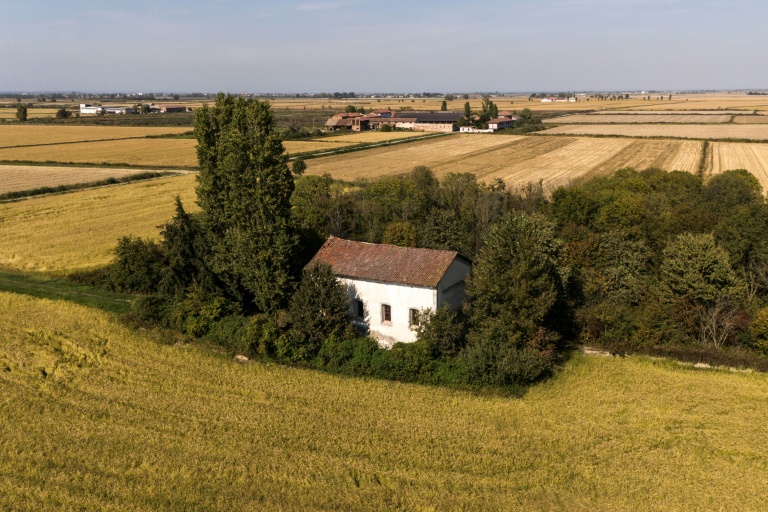 Des bois aménagés sur un ancien champ de riz à Crova, en Italie, le 28 septembre 2026