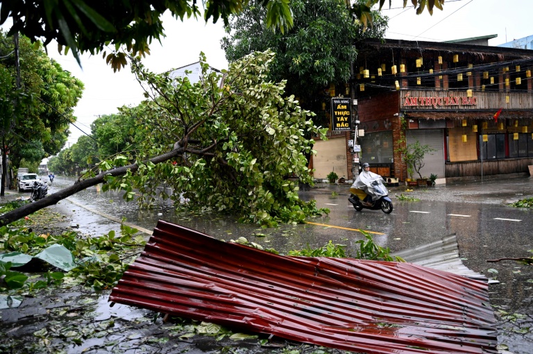 Un arbre abattu par le passage du typhon Kajiki  à Vinh, dans la province de Nghe An, le 26 août 2025 au Vietnam