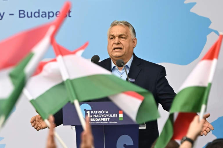 Le Premier ministre hongrois Viktor Orban s'adresse à la foule lors d'un meeting de campagne à Budapest, le 23 mars 2026, avant les élections législatives du 12 avril 2026