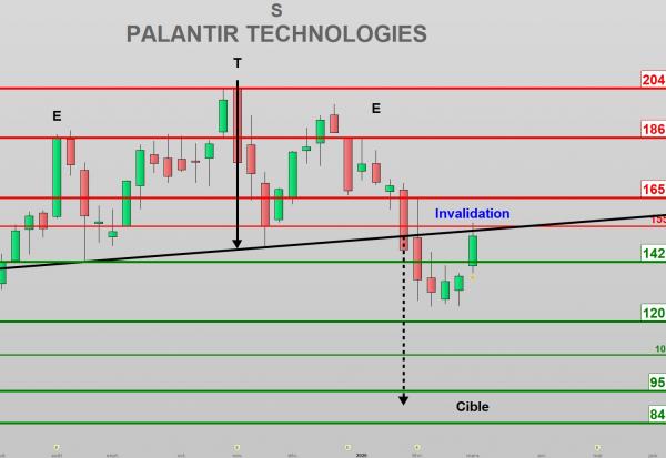 Peu d'entreprises cotées en bourse suscitent autant de passions contradictoires que Palantir Technologies.