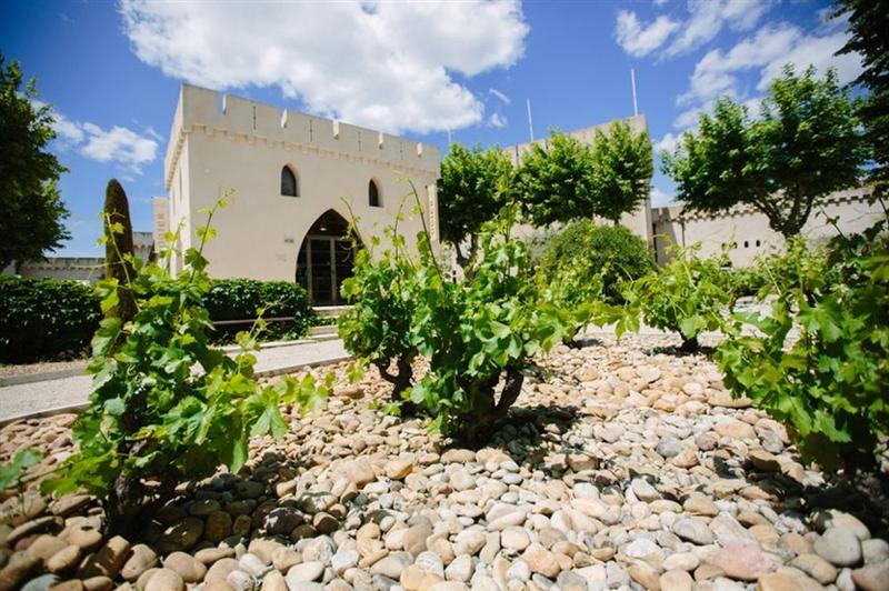 Advini : la marge s'améliore en 2025