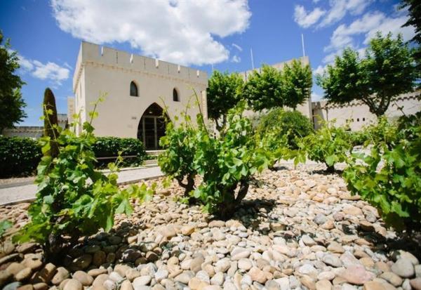 AdVini : projet de rapprochement avec Cordier by InVivo