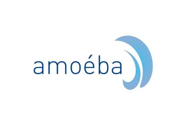 Amoéba obtient en Italie une autorisation d'urgence de 120 jours pour son biofongicide contre le mildiou du basilic