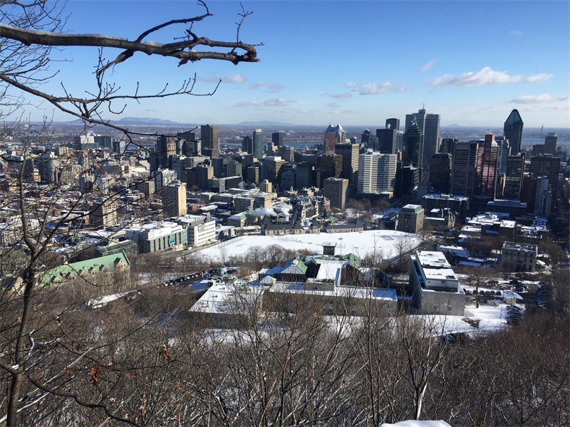 Arcadis et Egis sélectionnés pour un projet d'infrastructure au port de Montréal