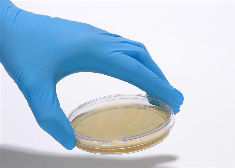 bioMérieux acquiert la société Accellix