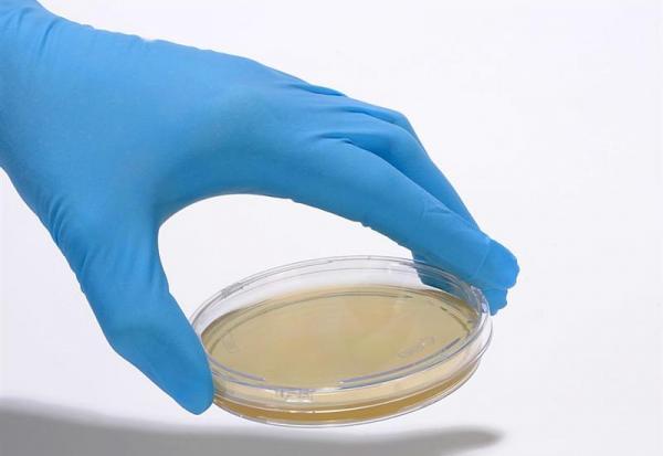 bioMérieux lance SMARTBIOME