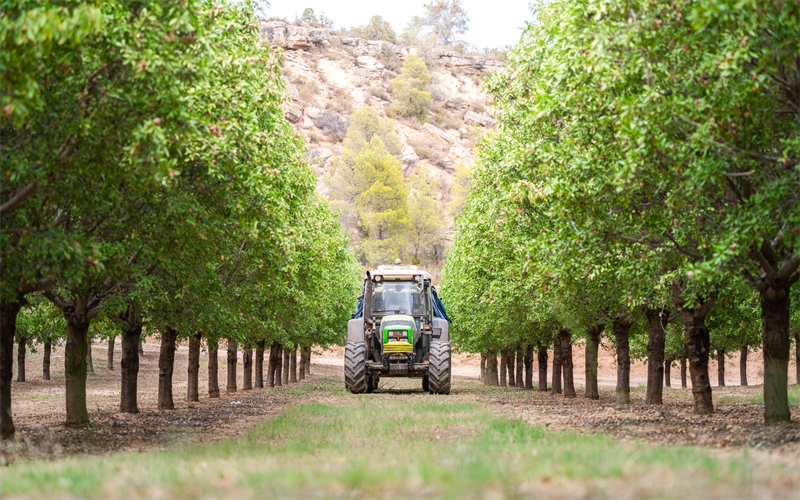 Bolloré : des emplettes dans l'agriculture