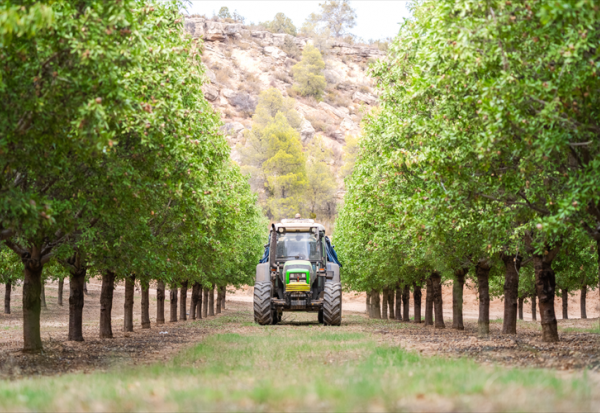 Bolloré : des emplettes dans l'agriculture
