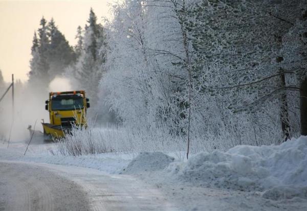 Bouygues : création de la Division Construction