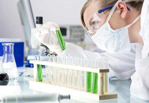 Bureau Veritas : le marché applaudit