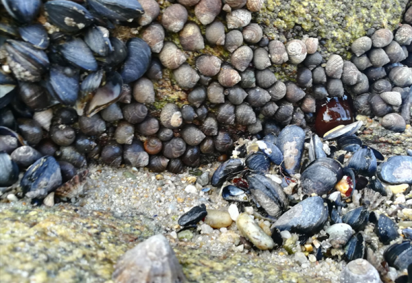 Casino fait le point sur le projet d'adaptation et de renforcement de la structure financière