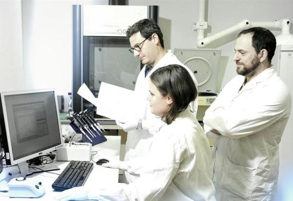 Cellectis annonce sa stratégie et ses jalons attendus en 2026