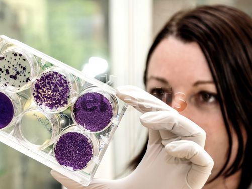 Cellectis présente sa plateforme d'édition épigénétique pour éteindre des gènes sans modifier l'ADN, lors du congrès annuel de l'ASGCT