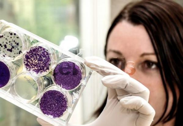 Cellectis présente sa plateforme d'édition épigénétique pour éteindre des gènes sans modifier l'ADN, lors du congrès annuel de l'ASGCT