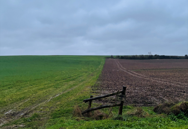 CRCAM Atlantique Vendée : un ratio de solvabilité bien au-delà du minimum réglementaire