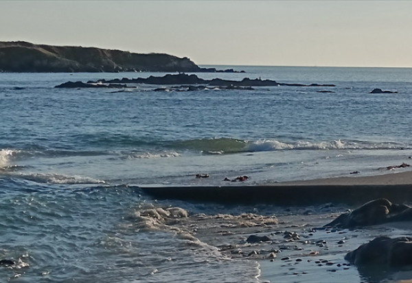 Dolfines : la situation de trésorerie est positive à fin 2025