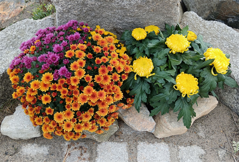 Emova Group : confiant mais prudent