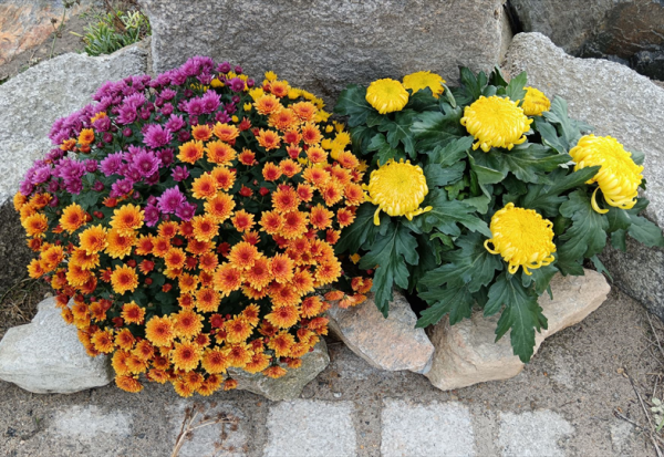 Emova Group : confiant mais prudent