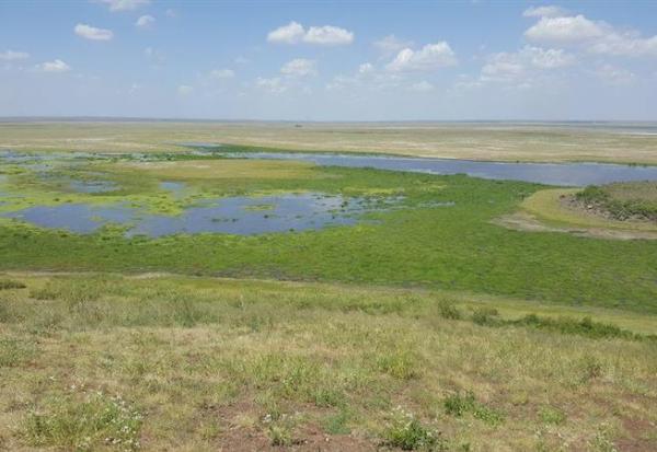 GL events obtient un contrat à Oulan-Bator