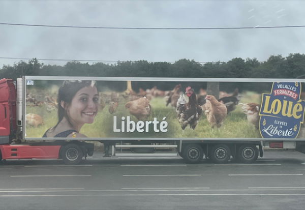 LDC : distribution imminente du dividende