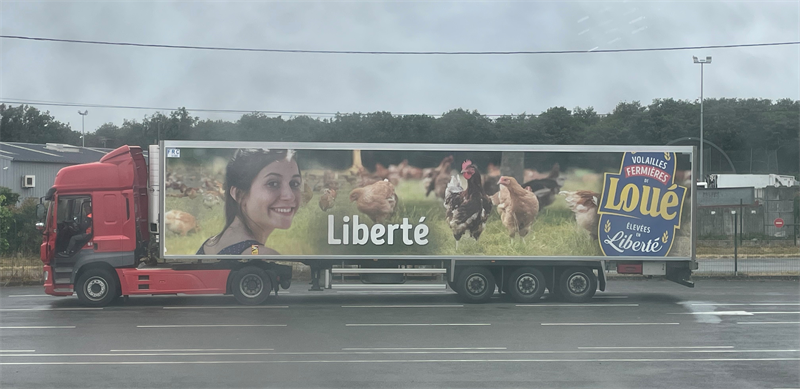 LDC : le marché salue un bon trimestre