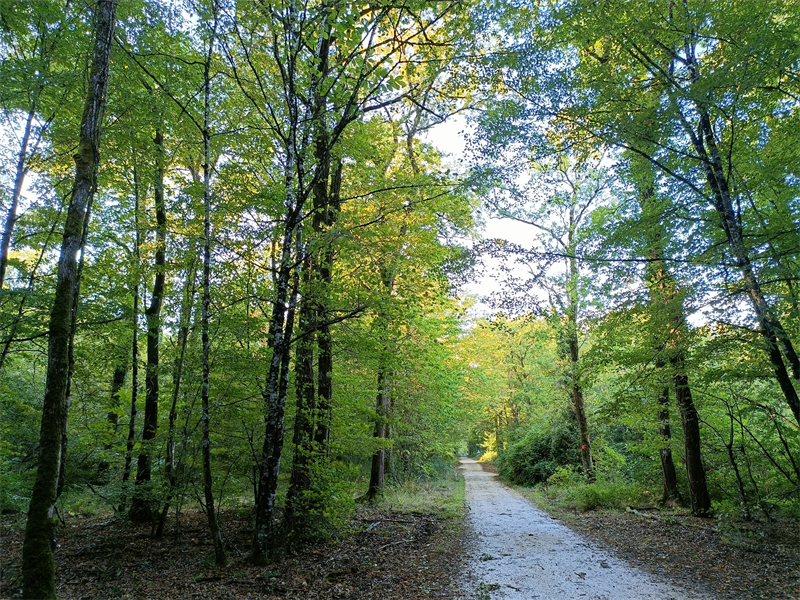 Les Constructeurs du Bois : gros contrat au Luxembourg