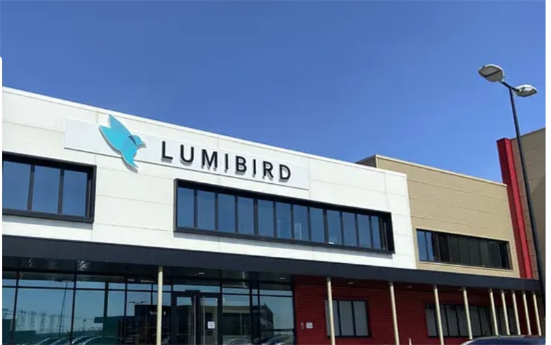 Lumibird : retombe