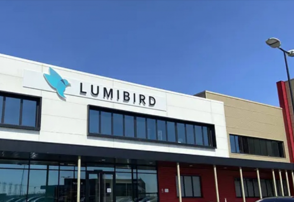 Lumibird : retombe