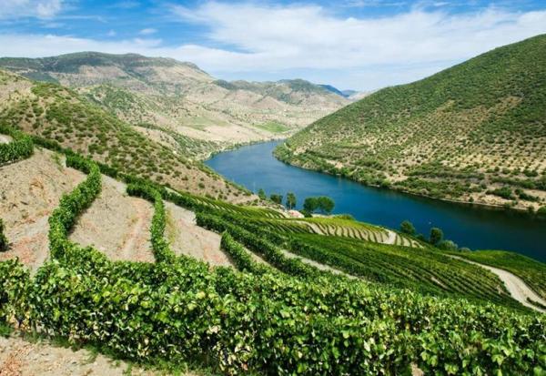 Maison Pommery & Associés : projet de rapprochement avec Henkell International
