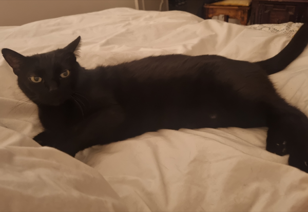 Nestlé : important investissement au Brésil