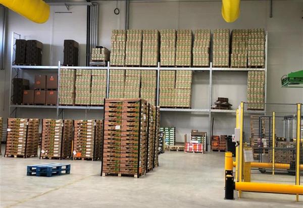 Omer-Decugis : bon démarrage au 1er trimestre