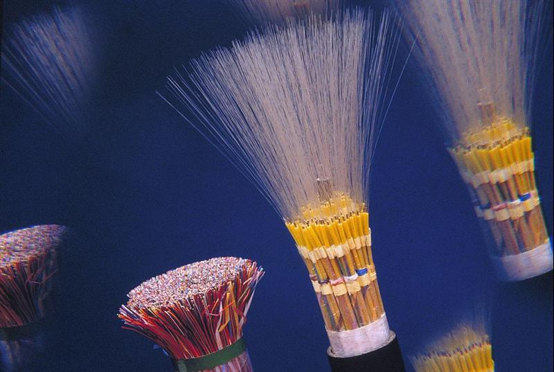 Orange : +25% depuis le 1er janvier