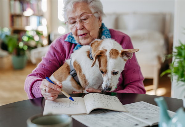 Pet Service Holding : à suivre en 2026