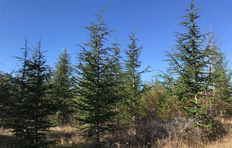 Quadient se déploie chez MedExpress au Royaume-Uni