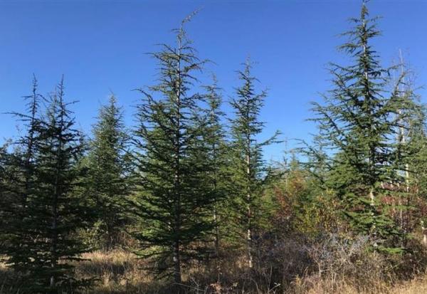 Quadient se déploie chez MedExpress au Royaume-Uni